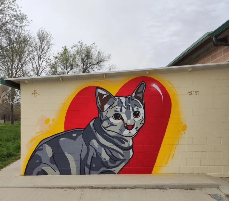 CPA Getafe gato graffiti