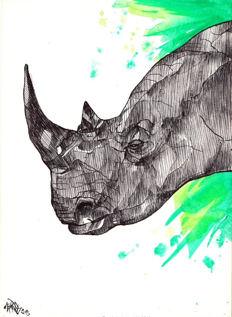 rhino