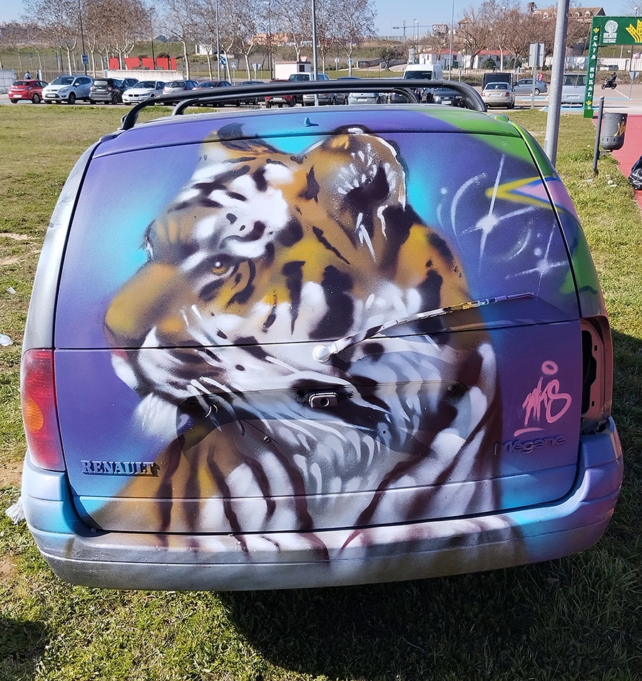 graffiti tigre en coche