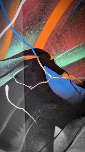 EXPOSICIONES 5 taller graffiti