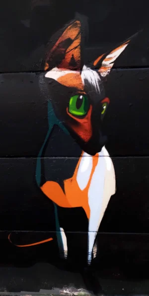 Particular - 1x2 metros - spray cat graffiti