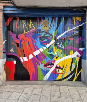 Stefano Zanvit 9 nks graffiti