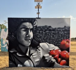 Stefano Zanvit 6 nks mural