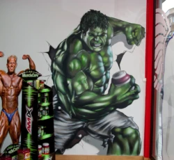GRAFFITI 22 murales